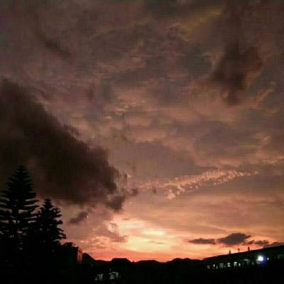 LDSports乐动体育